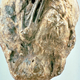 Este feto muerto y calcificado pasó en torno a 50 años en el vientre de su madre. Wikimedia C.